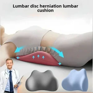 Lumbar Support Cushion Back Support